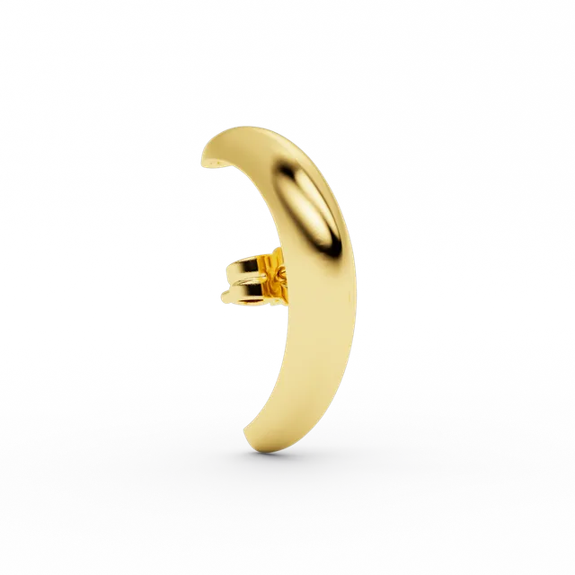 billion-avenue-vif-clou-d-oreille-dor-1-pi-ce-30-mm image 1